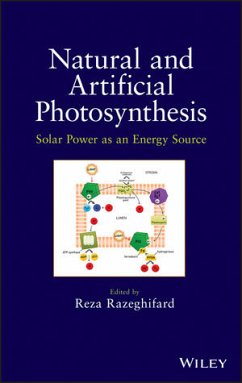 Natural and Artificial Photosynthesis (eBook, PDF) - Razeghifard, Reza