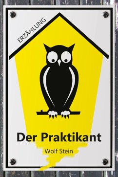 Der Praktikant (eBook, ePUB) - Stein, Wolf