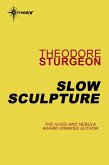 Slow Sculpture (eBook, ePUB)
