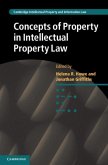 Concepts of Property in Intellectual Property Law (eBook, PDF)