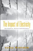 Impact of Electricity (eBook, PDF)
