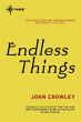 Endless Things (eBook, ePUB) - Bild 1
