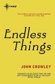 Endless Things (eBook, ePUB)