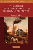 British Industrial Revolution in Global Perspective (eBook, PDF)