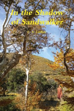 In the Shadow of Sandwalker - Lindsay, C. A.