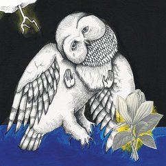 Magnolia Electric Co.(10th Anniversary Deluxe Ed) - Songs:Ohia