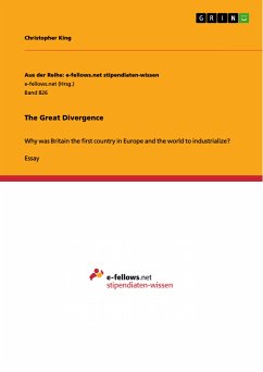 The Great Divergence (eBook, PDF)