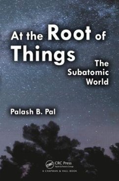 At the Root of Things - Pal, Palash Baran