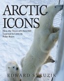 Arctic Icons