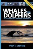 Whales and Dolphins Field Guide