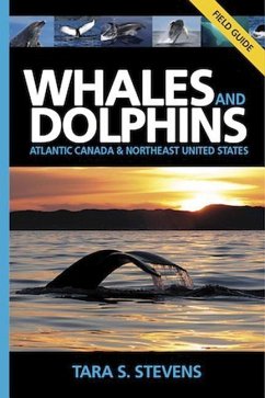 Whales and Dolphins Field Guide - Stevens, Tara