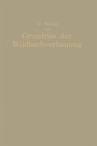 Grundriß der Wildbachverbauung Grundriß der Wildbachverbauung