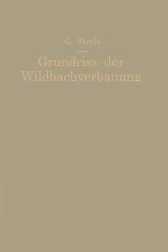 Grundriß der Wildbachverbauung - Strele, Georg