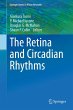 The Retina and Circadian Rhythms - Bild 1