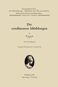 Cover Die semilinearen Abbildungen