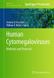 Human Cytomegaloviruses - Bild 1