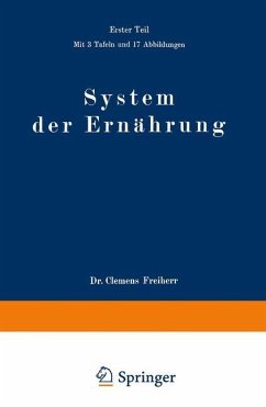 System der Ernährung - Pirquet, Clemens