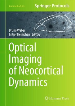 Cover Optical Imaging of Neocortical Dynamics