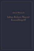 Julius Robert Mayers Kausalbegriff