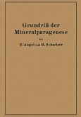 Grundriß der Mineralparagenese