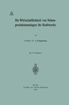 Die Wirtschaftlichkeit von Nebenproduktenanlagen für Kraftwerke - Klingenberg, G.
