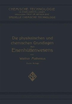 Die Physikalischen und Chemischen Grundlagen des Eisenhüttenwesens - Matheus, Walther