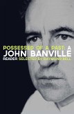 Possessed of a Past: A John Banville Reader (eBook, ePUB)