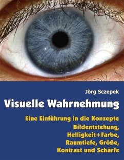 Visuelle Wahrnehmung (eBook, ePUB)