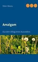 Amalgam (eBook, ePUB) Amalgam (eBook, ePUB)