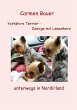 Yorkshire Terrier - Zwerge mit... - Bild 1