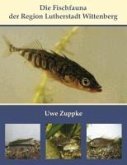 Die Fischfauna der Region Lutherstadt Wittenberg (eBook, ePUB)