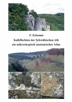 Kalkflechten der Schwäbischen Alb - ein mikroskopisch anatomischer Atlas (eBook, ePUB)