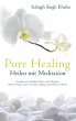 Pure Healing (eBook, ePUB) - Bild 1