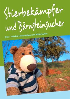 Stierbekämpfer und Bärnsteinsucher (eBook, ePUB)