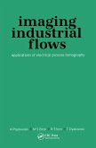 Imaging Industrial Flows