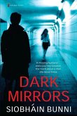 Dark Mirrors