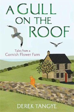A Gull on the Roof - Tangye, Derek