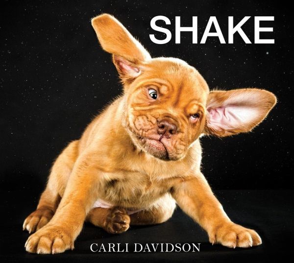Shake (eBook, ePUB)