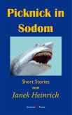Picknick in Sodom (eBook, ePUB)