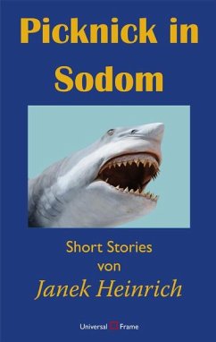 Picknick in Sodom (eBook, PDF) - Heinrich, Janek