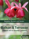 Balkon & Terasse - Pflanzen die im Schatten gedeihen (eBook, ePUB)