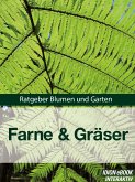 Farne & Gräser (eBook, ePUB)