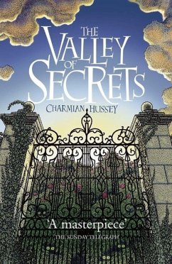 Valley of Secrets (eBook, ePUB) - Hussey, Charmian