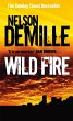 Wild Fire (eBook, ePUB) - Bild 1