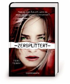Zersplittert / Gelöscht-Trilogie Bd.2 - Terry, Teri