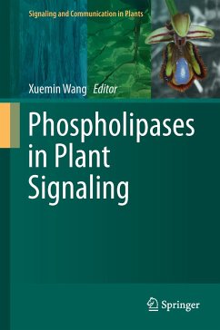 Phospholipases in Plant Signaling