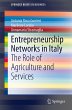 Entrepreneurship Networks in Italy - Bild 1