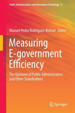 Measuring E-government Efficiency