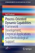 Process-Oriented Dynamic Capabilities - Bild 1