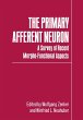 The Primary Afferent Neuron - Bild 1